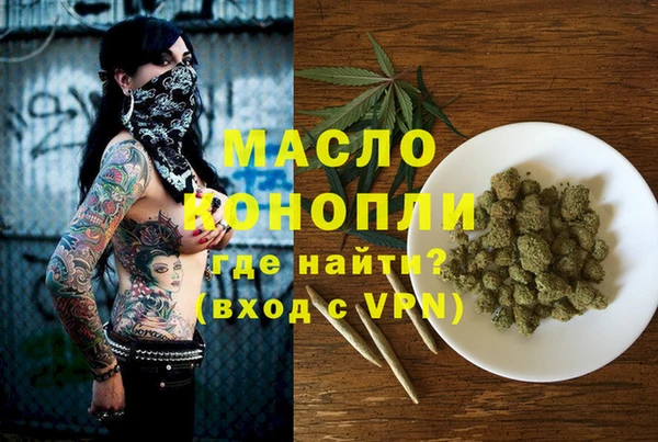 ECSTASY Горняк