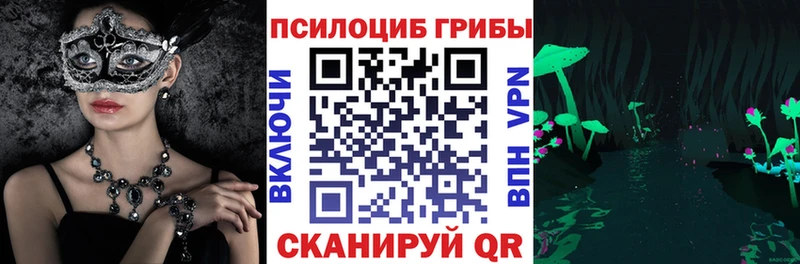 OMG онион  Карабаново  Псилоцибиновые грибы Cubensis 
